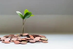 Gestionarea finanțelor personale pentru libertate financiară
