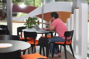 cum să câștigi venituri online sustenabile